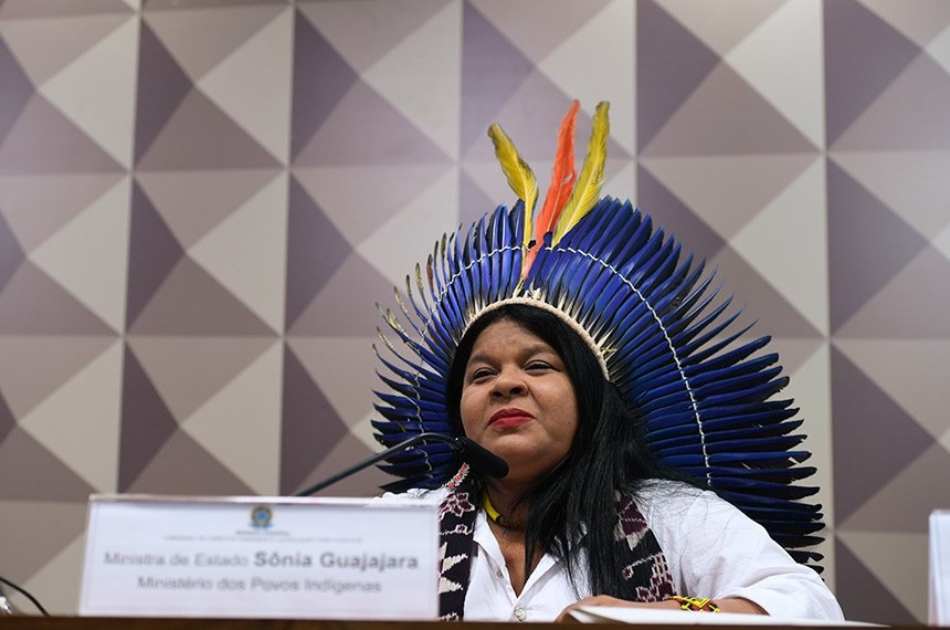 Ministério dos Povos Indígenas desembolsa mais de R$ 76 mil para bancar viagens de amigo de Guajajara