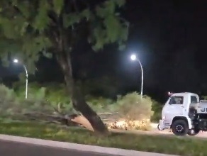 VÍDEO: Árvore cai na Av. Roberto Freire em cima de caminhão e causa grande congestionamento