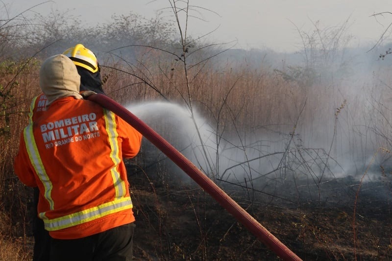Bombeiros atenderam mais de 1,3 mil ocorrências de incêndio em vegetação no RN neste ano