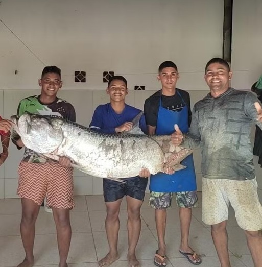 Pescadores capturam peixe de 50 kg no litoral do RN