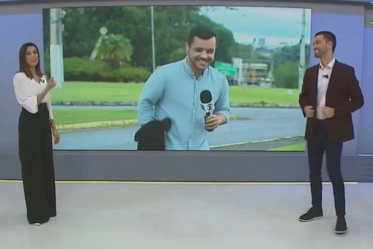 VÍDEO: Cachorro invade link ao vivo em jornal da Globo e rouba a cena; assista
