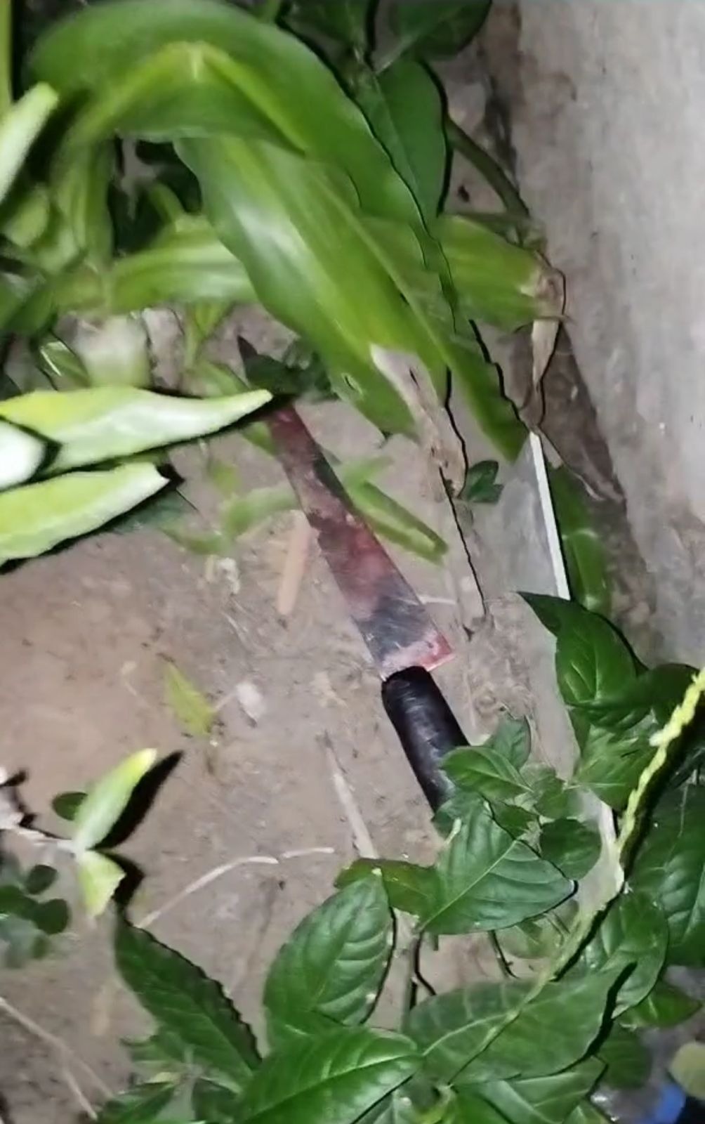 Homem é esfaqueado durante briga de vizinhos na zona Oeste de Natal