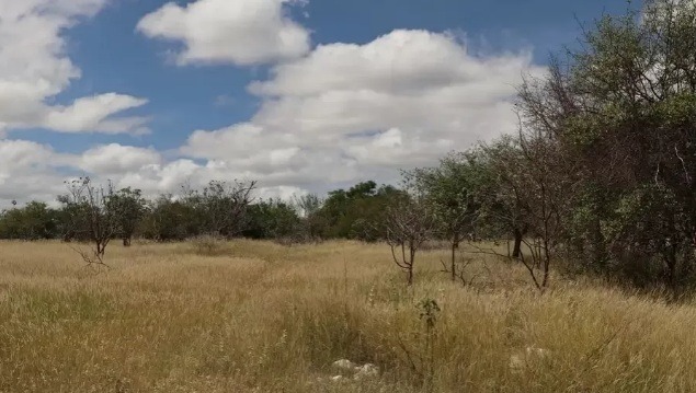  Como um deserto pode se formar no Nordeste - e isso afeta do clima ao nosso bolso