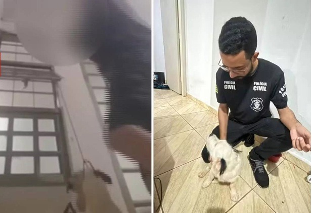 Adolescente é apreendido após enforcar cão e transmitir crime em live