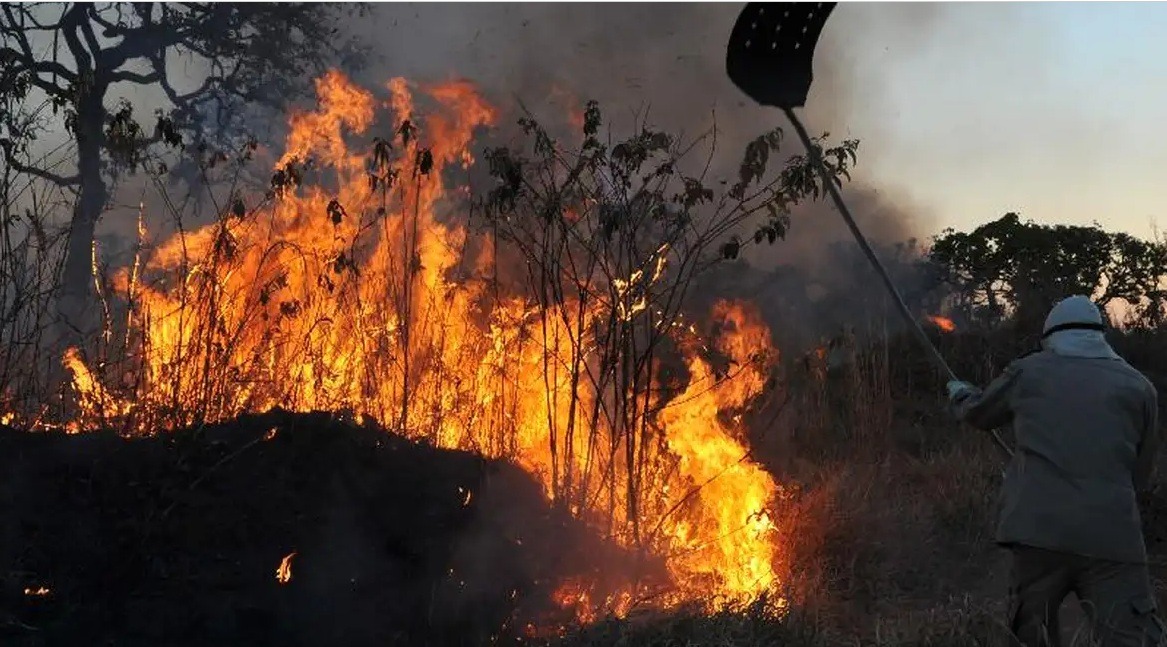 Amazônia tem alta de 286% nos focos de queimadas em fevereiro