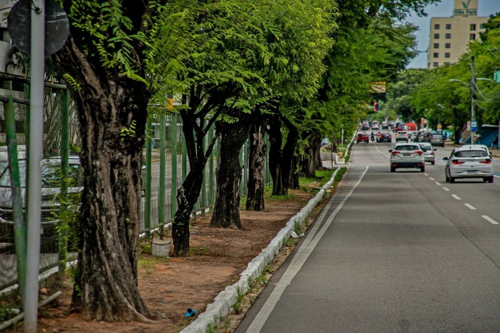 Avenida Hermes da Fonseca será interditada parcialmente na próxima segunda-feira (4)