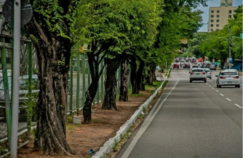 Avenida Hermes da Fonseca será interditada parcialmente nesta segunda 