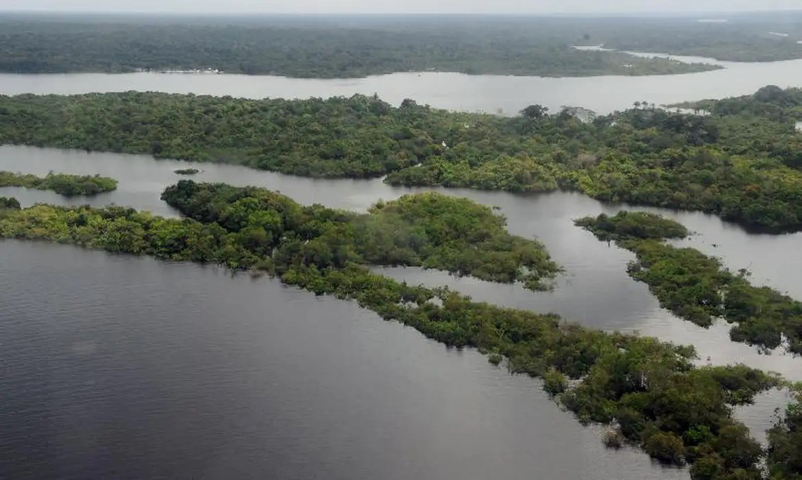 Área queimada no Brasil cresce 410% em fevereiro, diz estudo