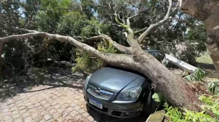 Árvore cai e destrói carro comprado há 6 dias na Zona Sul de Natal