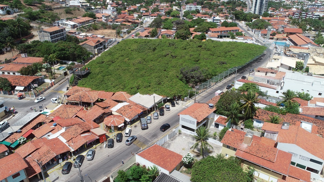 Cajueiro de Pirangi tem visitação suspensa para manutenção