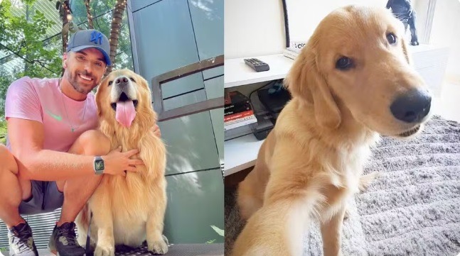 Cachorro morre após falha no transporte aéreo da Gol; animal desembarcou no estado errado