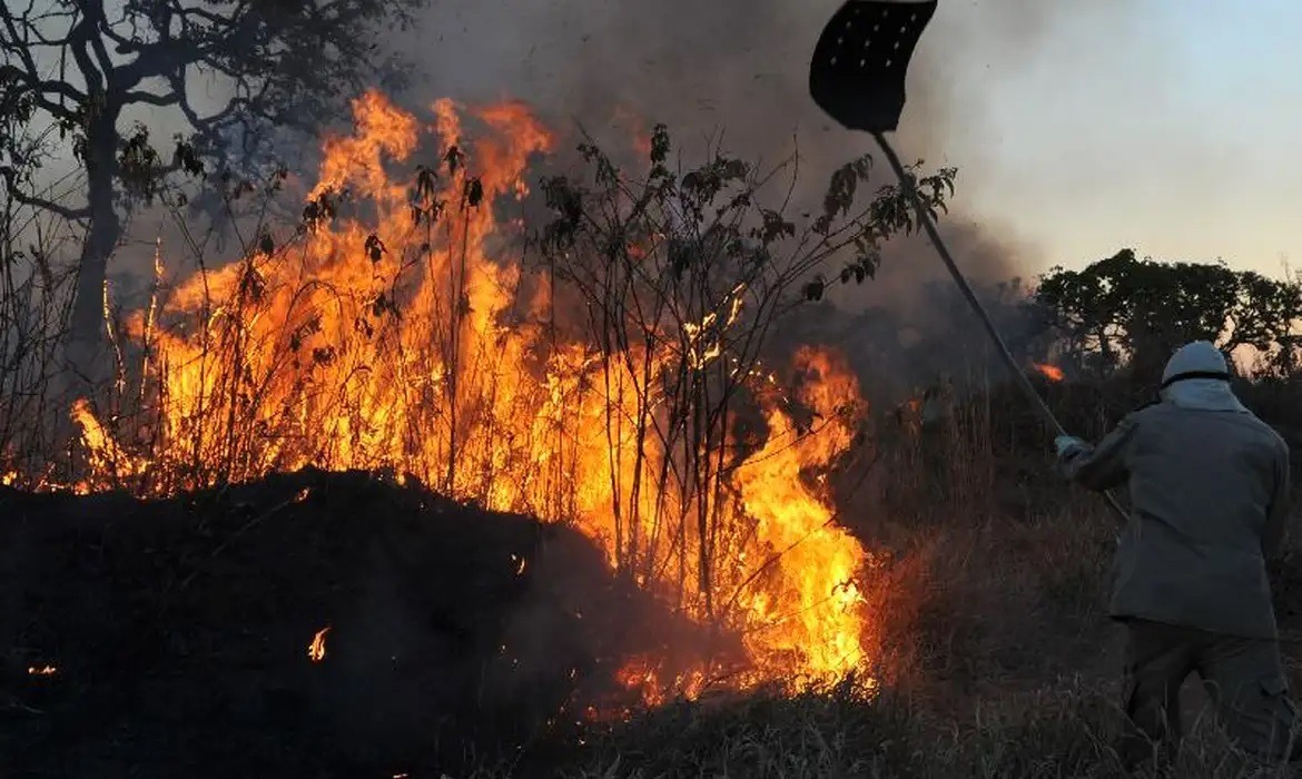 Número de queimadas bate recorde no Brasil nos primeiros quatro meses de 2024