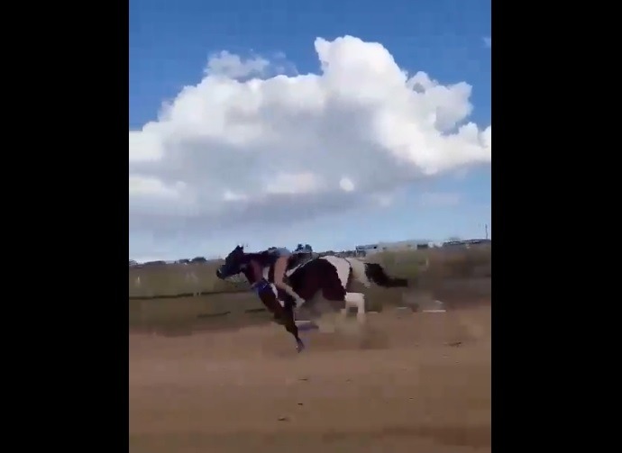 VÍDEO: Homem flagra mulher desesperada montada em cavalo sem utilizar as rédeas