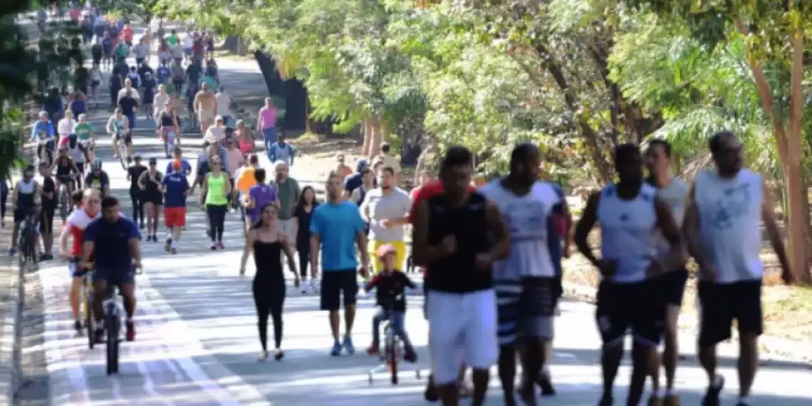 Conheça o exercício que ajuda a viver mais e reduz as dores no joelho