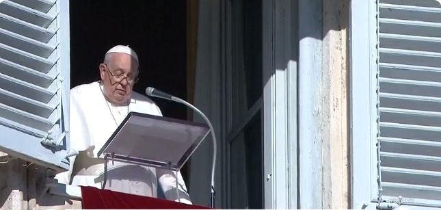 Papa pede desculpa após dizer que já existe 'bichice demais' em seminários