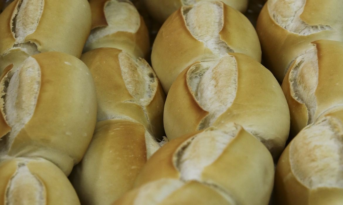 Comer pão todo dia faz mal? Entenda impactos do alimento no corpo