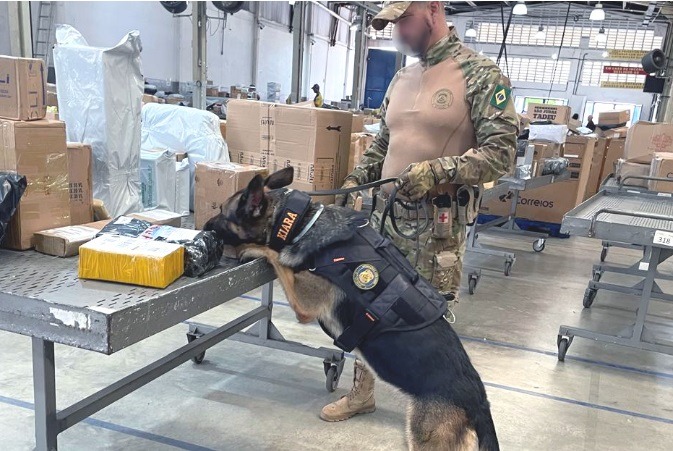 PF apreende maconha enviada através dos Correios em Natal