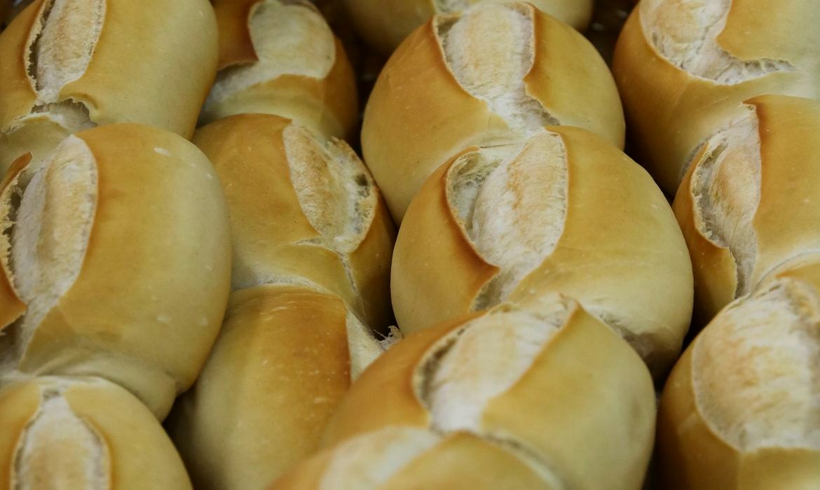 Comer pão todo dia faz mal? Veja como o alimento age na saúde