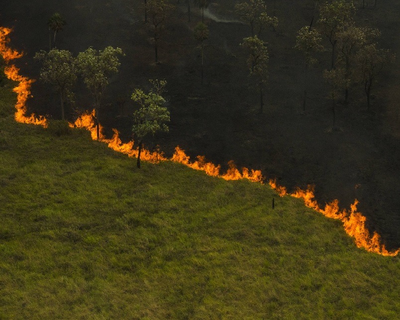 Pantanal tem junho com mais focos de incêndio da história