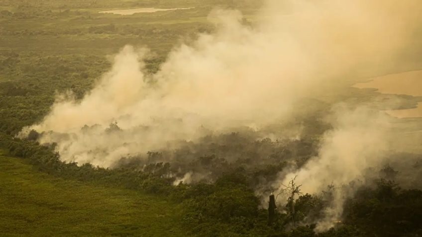 Oposição critica silêncio de artistas sobre queimadas no Pantanal
