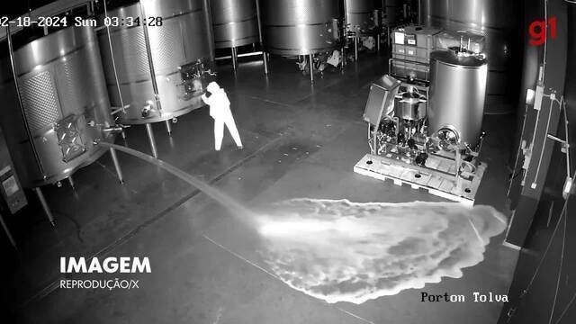 Mulher é presa por sabotar adega após demissão e causar prejuízo de r$ 13 milhões; veja vídeo