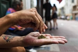 Decisão do STF sobre maconha pode beneficiar entre 8 e 19 mil presos