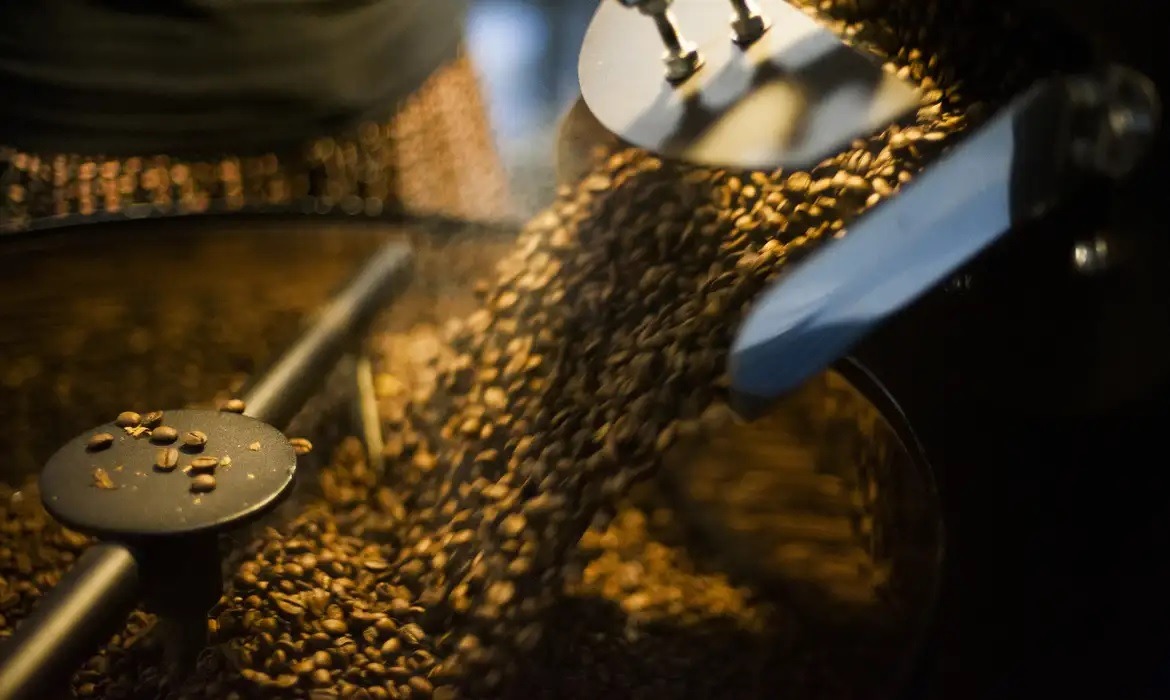Governo divulga lista de cafés impróprios para consumo; veja lotes e marcas