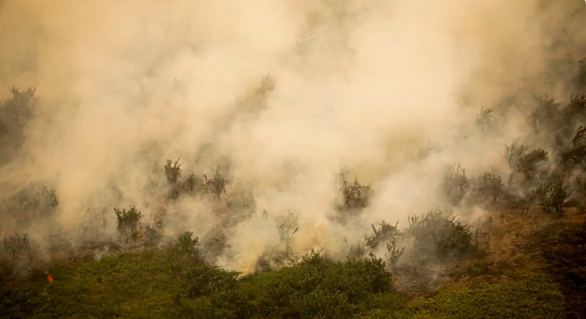 Pantanal tem este ano maior área queimada em junho