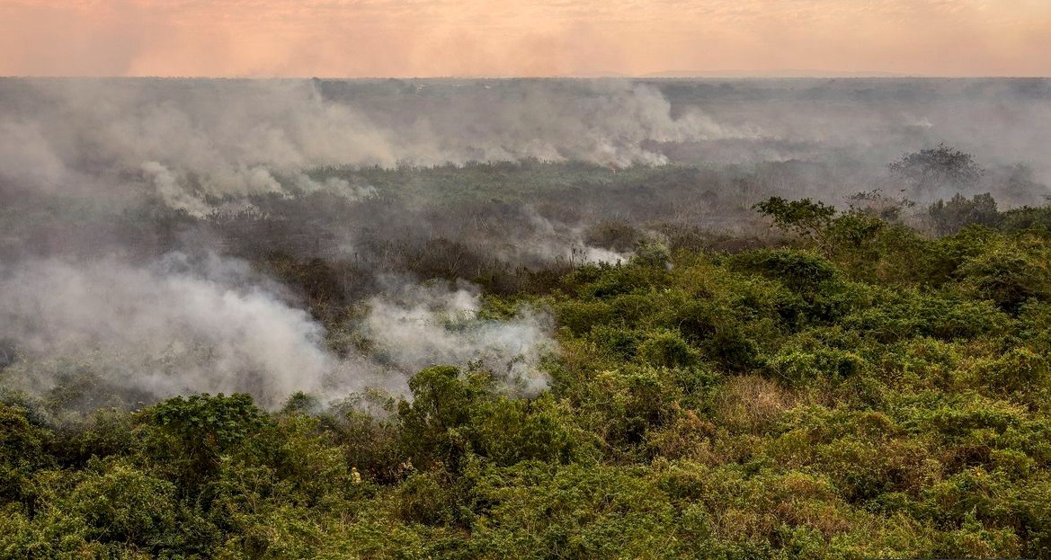 Pantanal poderá ter crise hídrica histórica em 2024, aponta estudo