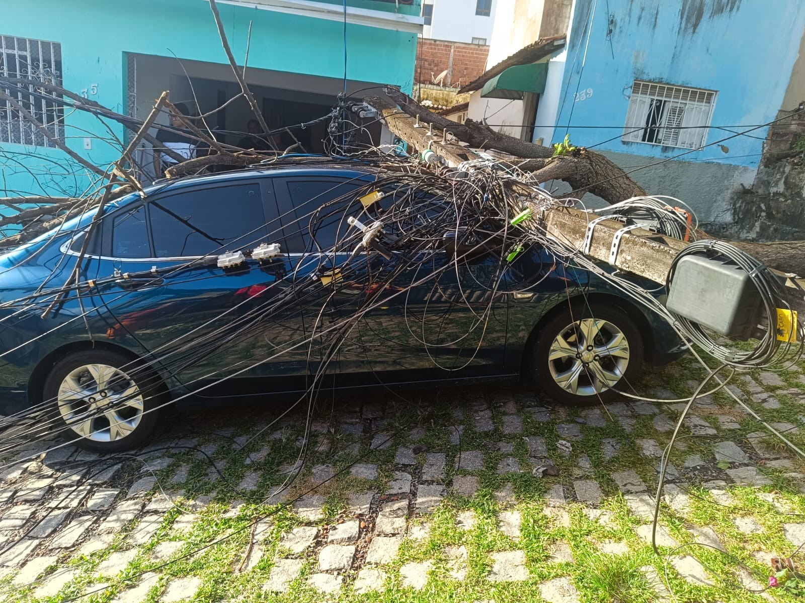 Bombeiros removem árvore que caiu em veículo na zona Leste de Natal