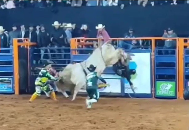 VÍDEO: Peão morre após ser pisoteado por touro durante rodeio