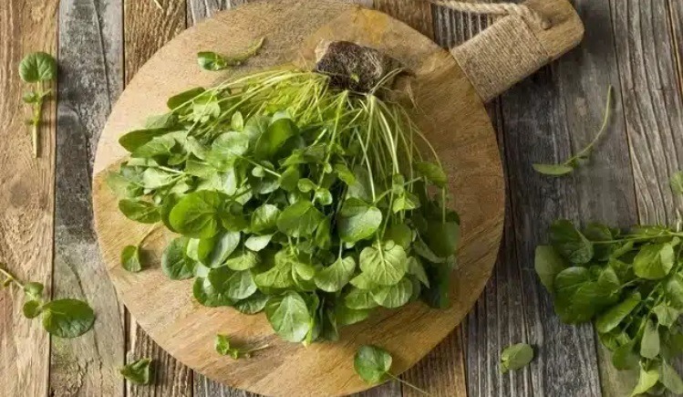 Estudos revelam o melhor alimento do mundo que pode mudar sua saúde