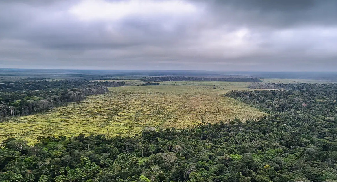 Sem fiscais, desmatamento dobra no começo de julho na Amazônia