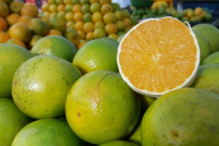 Preço da laranja aumenta 13,6% e potiguares reduzem consumo
