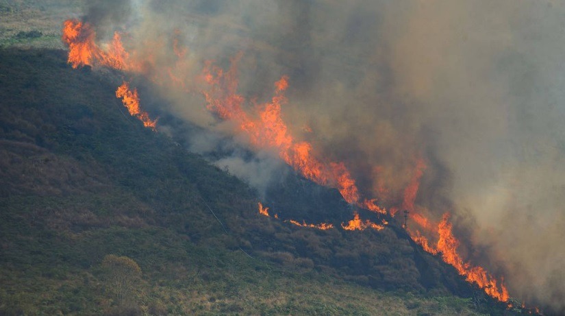 Amazônia vive recorde de incêndios em 20 anos; brigadistas se preparam para seca extrema