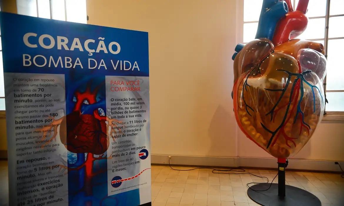Inverno eleva casos de infarto em 12%; por que risco é maior nessa estação?