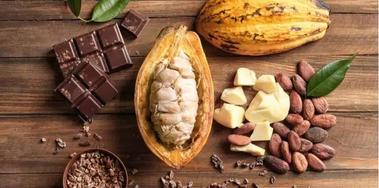 Descubra porque o cacau é um dos maiores aliados para a sua saúde