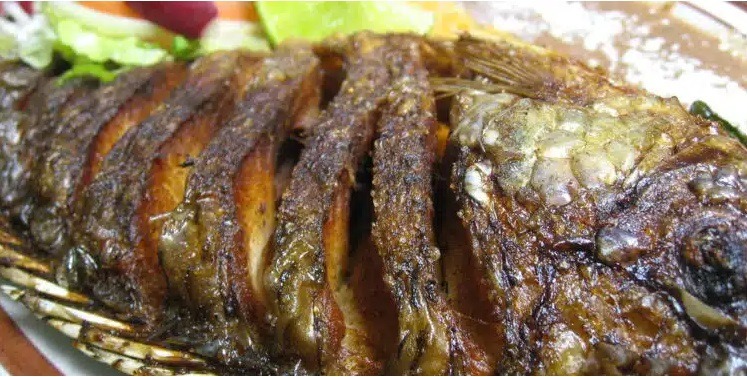 Adeus, frango? Tilápia pode dominar a dieta dos brasileiros