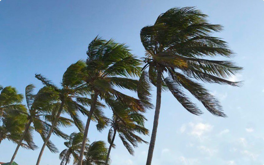 Marinha emite alerta de mau tempo com ventos de até 61 km/h para o litoral do RN