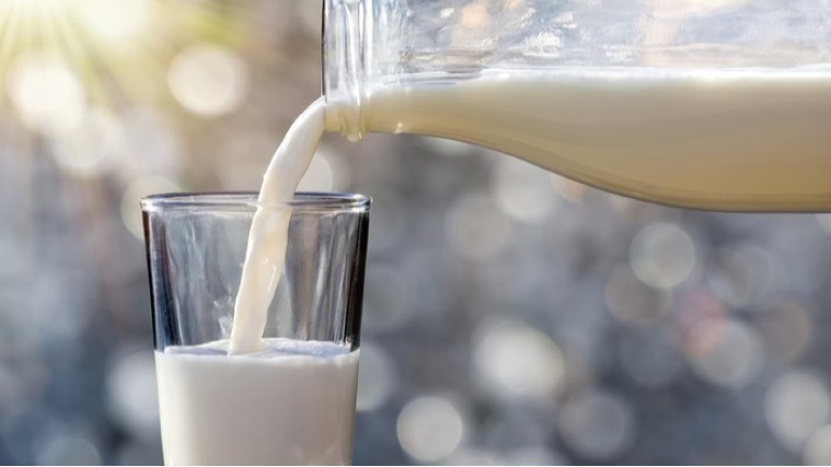 Leite e inflamação: descubra quando esse alimento pode ser problemático