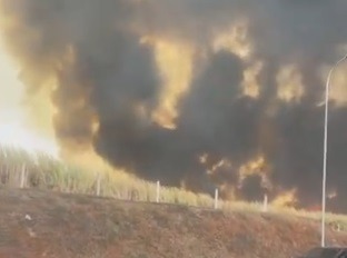 VÍDEO: Bolsonaro posta imagens impressionantes de incêndios em SP; ASSISTA