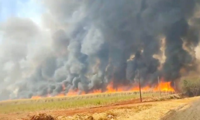 São Paulo tem maior número de focos incêndio em 25 anos