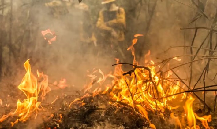 Polícia Federal vai investigar causas de incêndios em todo o país