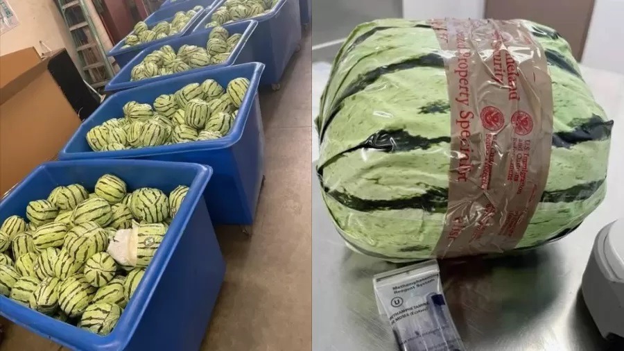 Polícia apreende duas toneladas de droga em ‘melancias falsas’