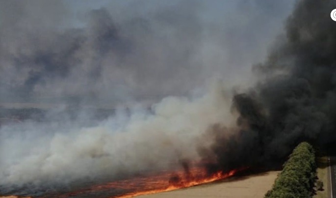 Governo de SP estima prejuízo de R$ 1 bi na agropecuária com incêndios