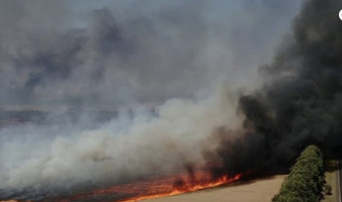 Brasil tem o maior número de focos de incêndio desde 2010