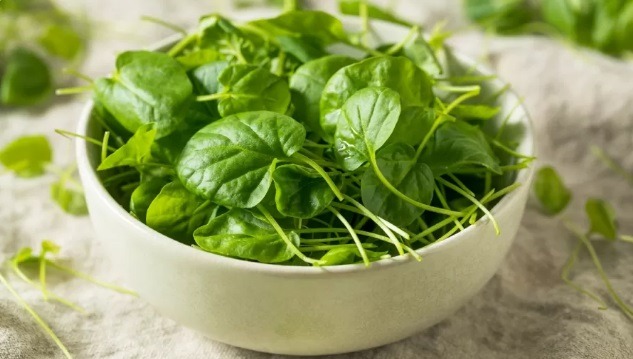 Agrião é o vegetal mais saudável do planeta e frutas não entram no top 10