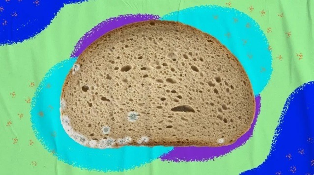O que acontece no seu corpo quando você come comida mofada