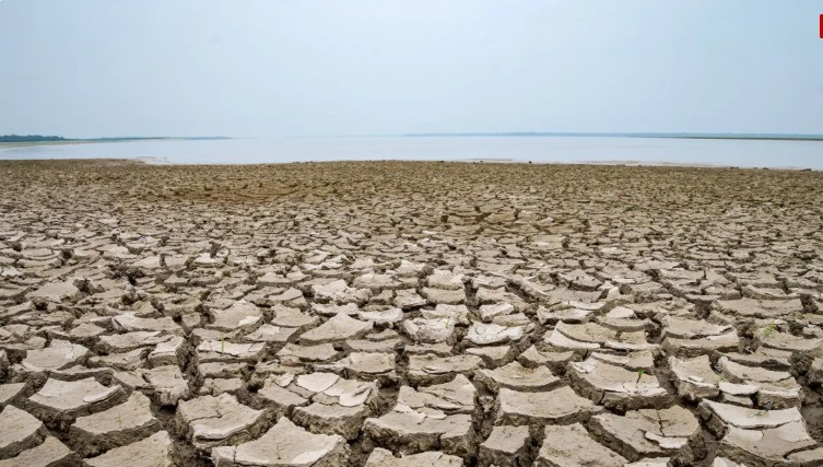 Brasil registra a pior seca da história em 2024
