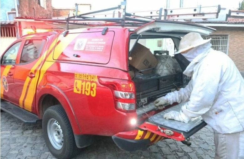 Bombeiros do RN atende a duas ocorrências de ataques de abelhas com uma vítima fatal